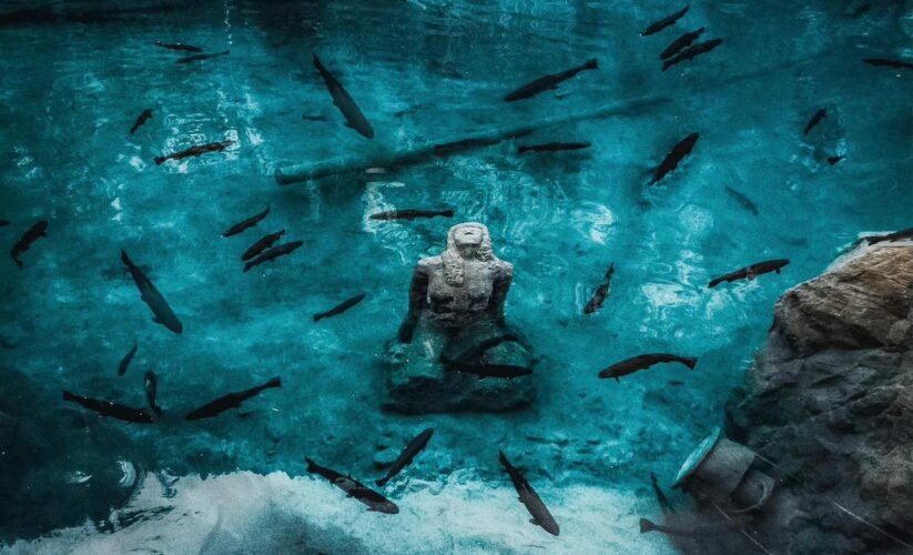 Stresle Başa Çıkma Yolları: Günlük Hayatta Uygulanabilir Stratejiler